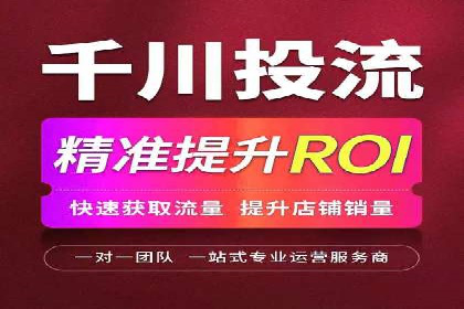 大型SEM服务公司案例分析